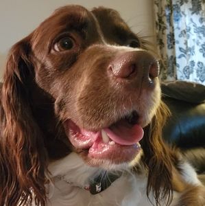 Meet your Posher, Christine